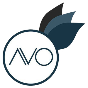 PT AVO Innovation Technology