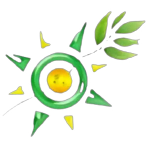 PT Shinka Global Solutions