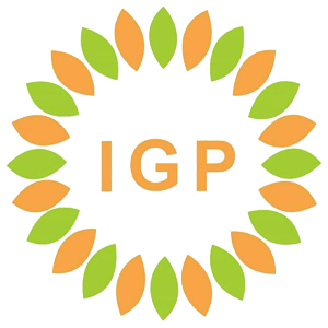 PT IGP Internasional