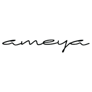 PT Ameya Livingstyle Indonesia
